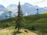 Obrázek: entries/arosa-baerenland-14-.jpg